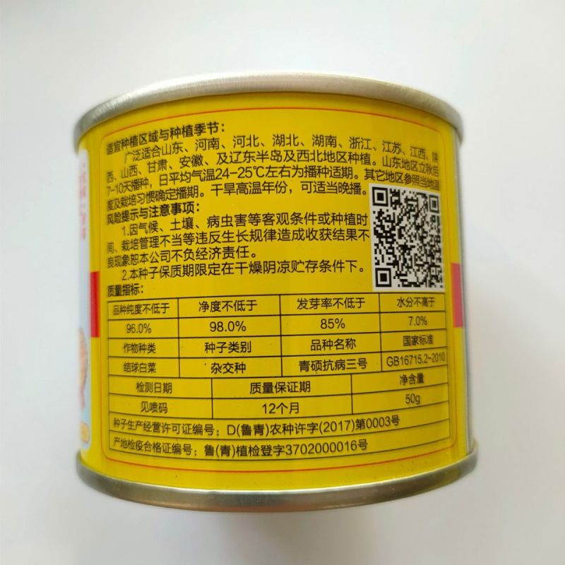 冬储王白菜种子越冬王抗烧心秋季种植叠抱大白菜种子高产抗病
