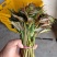 香椿芽儿基地直供