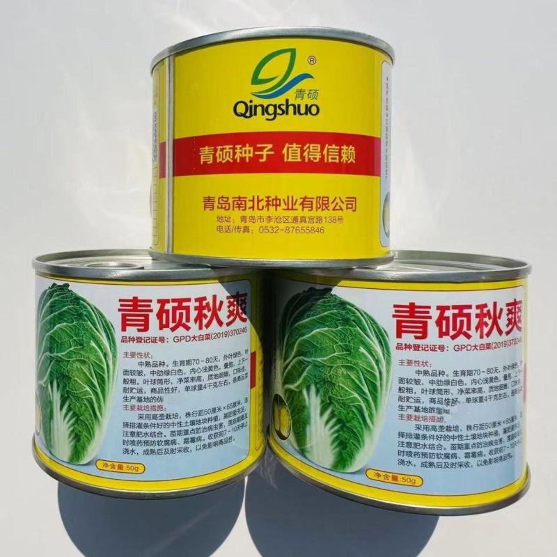 青硕秋爽大白菜种籽中熟耐贮运黄心大白菜种子