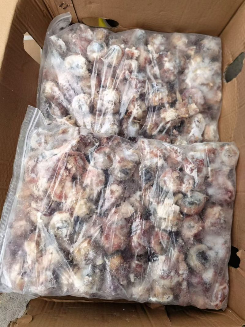 羊眼睛，精修羊眼纯干货，适合烧烤卤炖等多种用途。