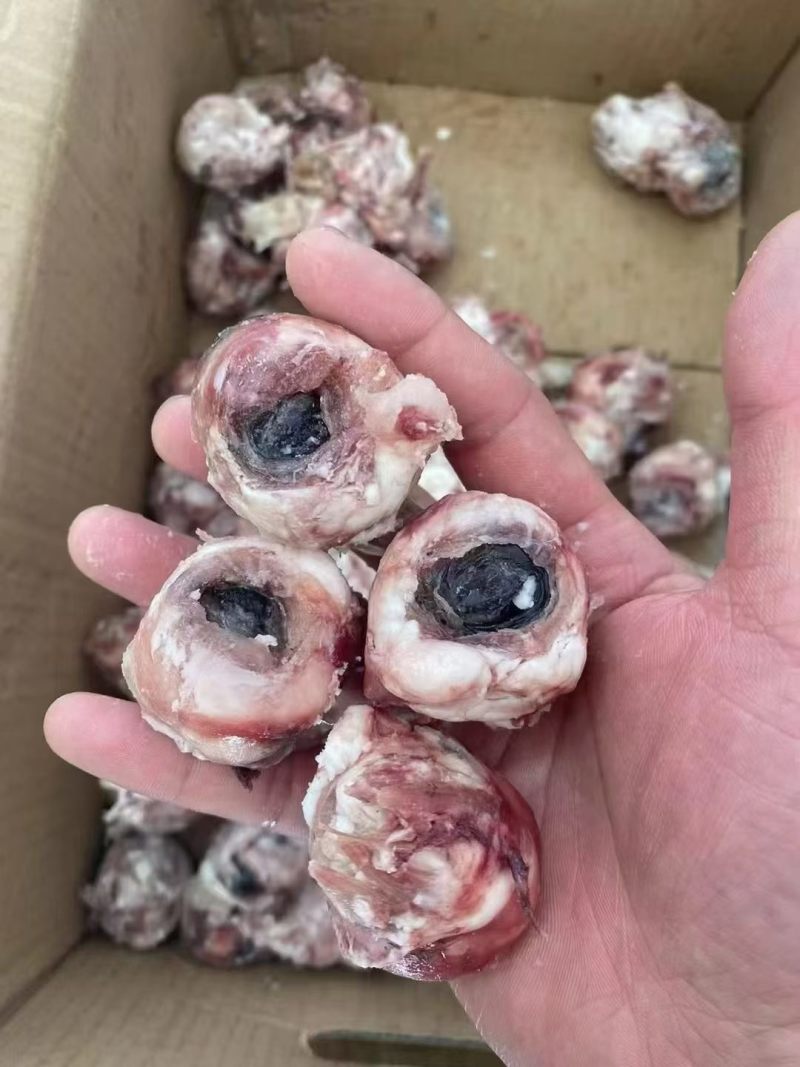 羊眼睛，精修羊眼纯干货，适合烧烤卤炖等多种用途。