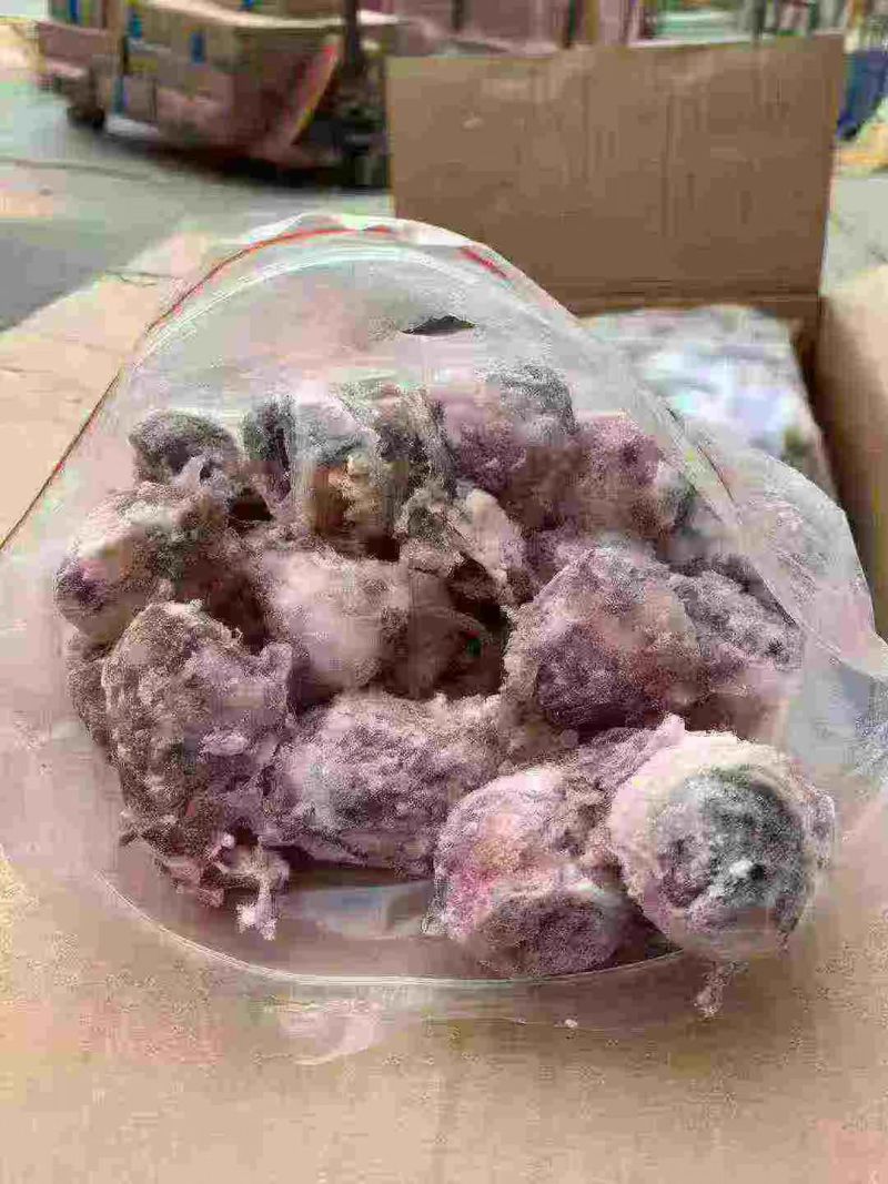 羊眼睛，精修羊眼纯干货，适合烧烤卤炖等多种用途。