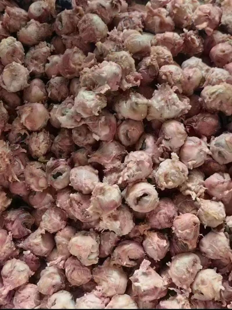 羊眼睛，精修羊眼纯干货，适合烧烤卤炖等多种用途。