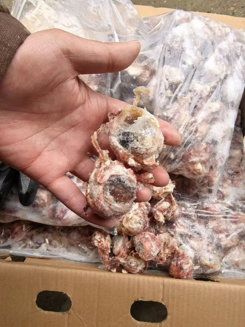羊眼睛，精修羊眼纯干货，适合烧烤卤炖等多种用途。