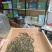 安徽***剂野生绿茶品质保证诚信经营各规格都有