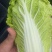 大小精品娃娃菜