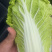 大小精品娃娃菜