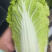 大小精品娃娃菜