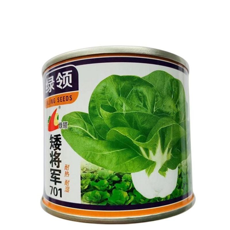 绿领矮将军701矮脚奶白菜矮脚黄种籽高产耐热耐湿南京兔子