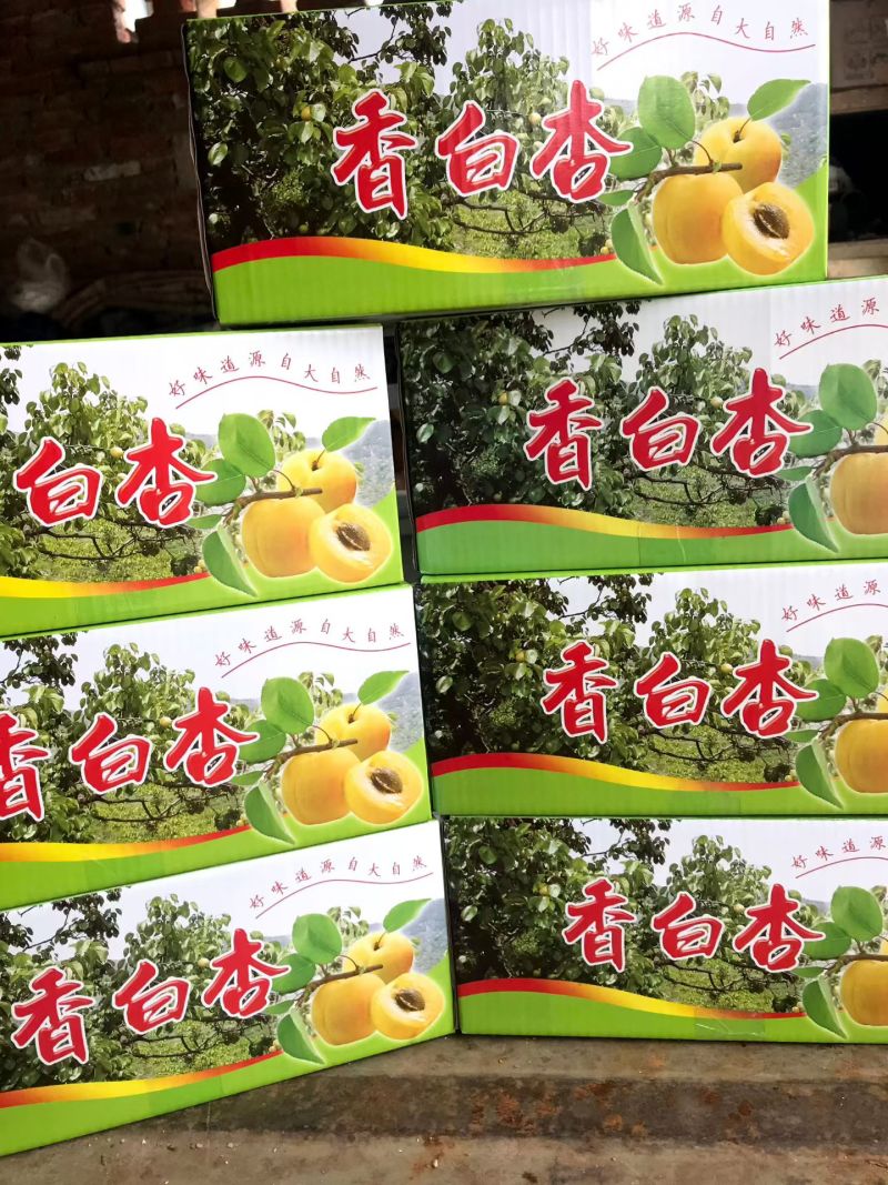 香白杏大量下树有需要老板联系洽谈，价格优惠