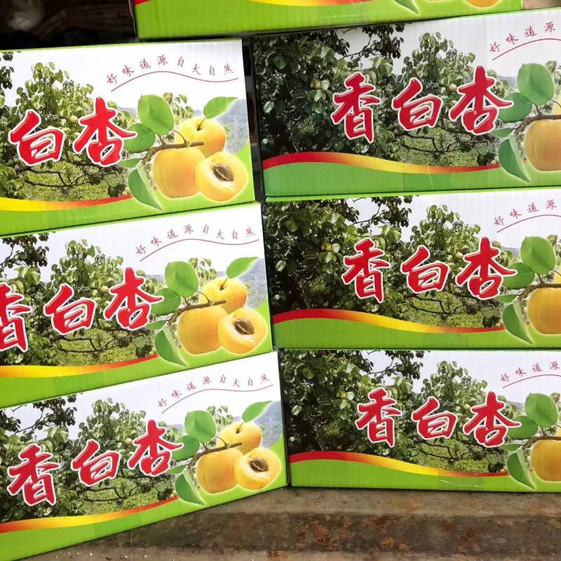 香白杏大量下树有需要老板联系洽谈，价格优惠