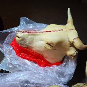 牛头（带牛舌，牛脑）牛头宴专用