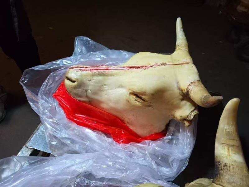 牛头（带牛舌，牛脑）牛头宴专用