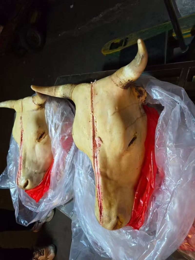 牛头（带牛舌，牛脑）牛头宴专用