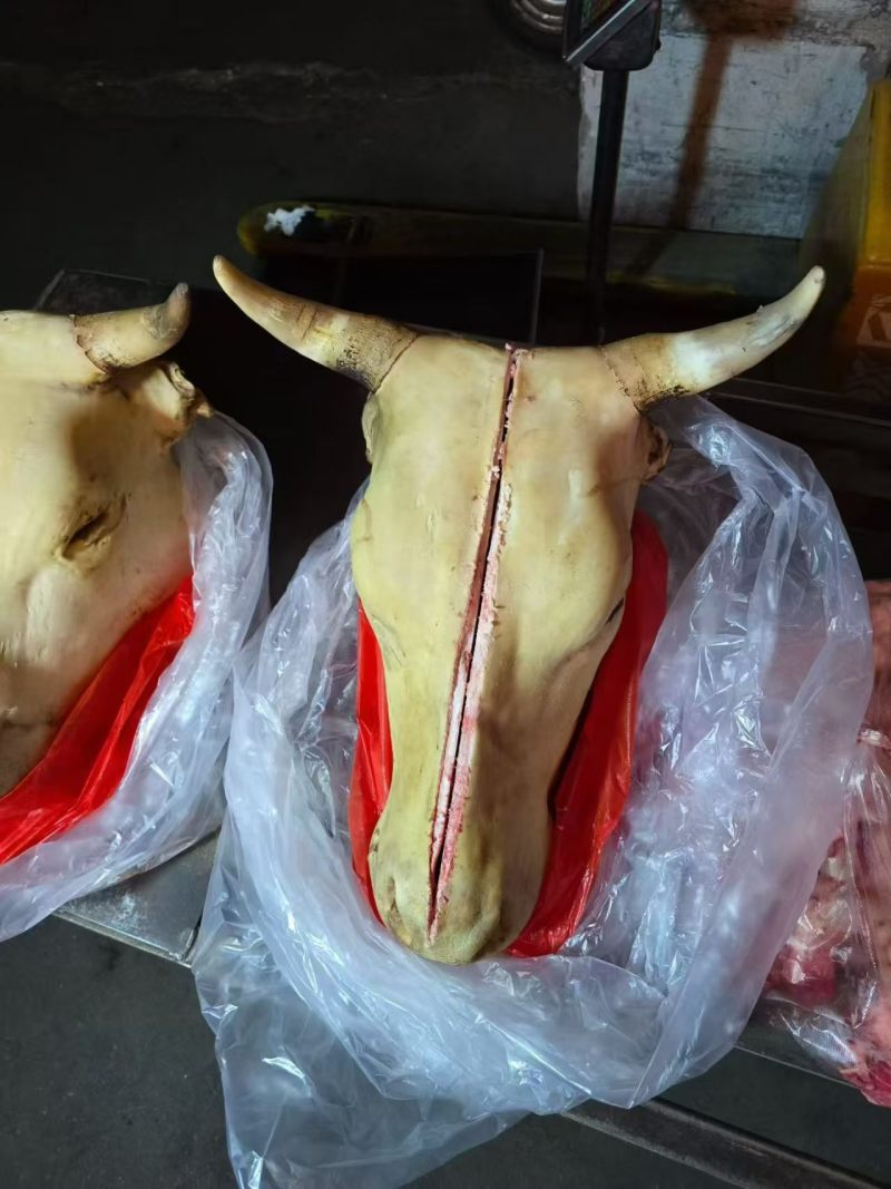 牛头（带牛舌，牛脑）牛头宴专用