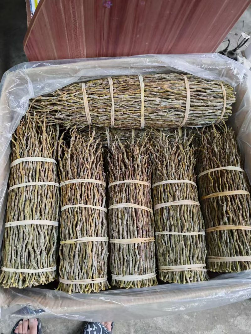 铁皮石斛长捆条30cm+