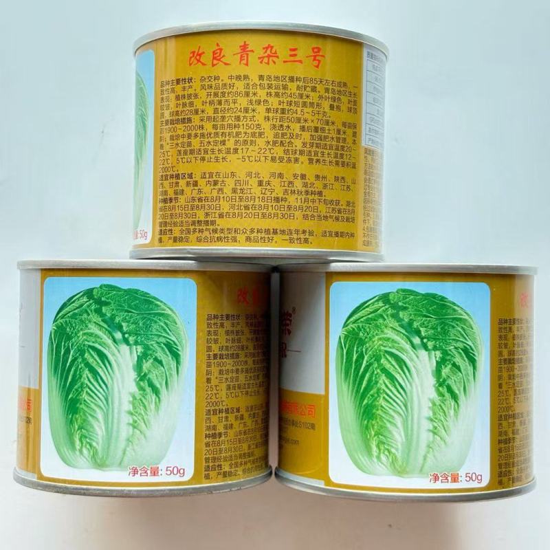 申荣改良青杂三号大白菜种子中晚熟抗病品质佳优选品种秋播白