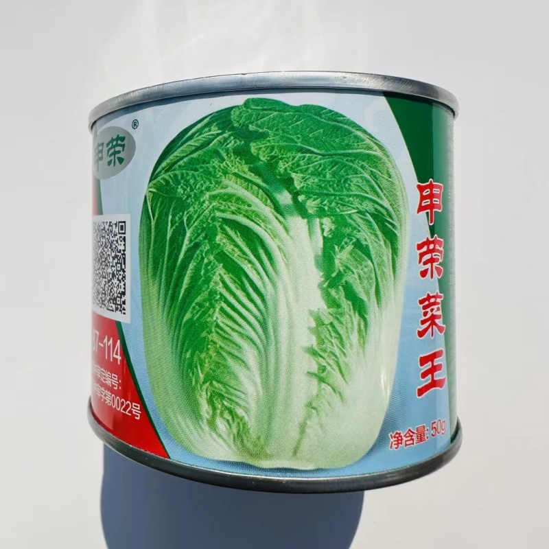 申荣改良青杂三号大白菜种子中晚熟抗病品质佳优选品种秋播白