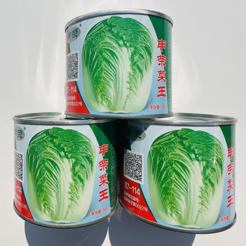申荣改良青杂三号大白菜种子中晚熟抗病品质佳优选品种秋播白