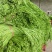 豆角青条豆角白豆角长豆角大量供应欢迎咨询订购