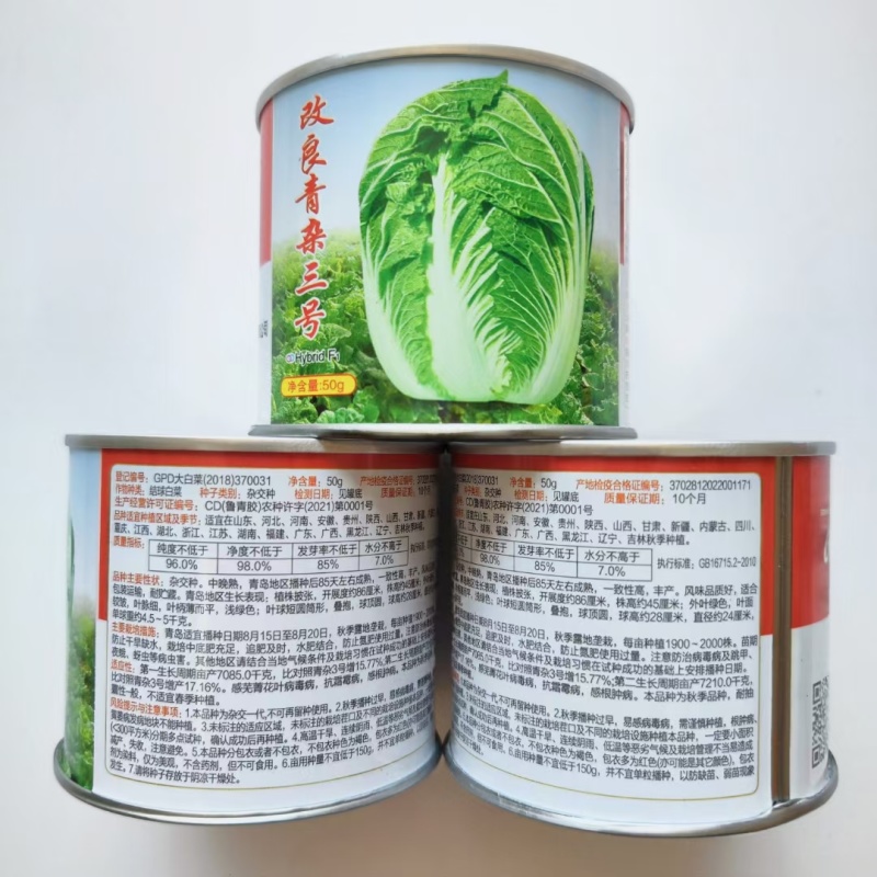 义和改良青杂三号白菜大白菜种籽山东种子中晚熟丰产大白菜种