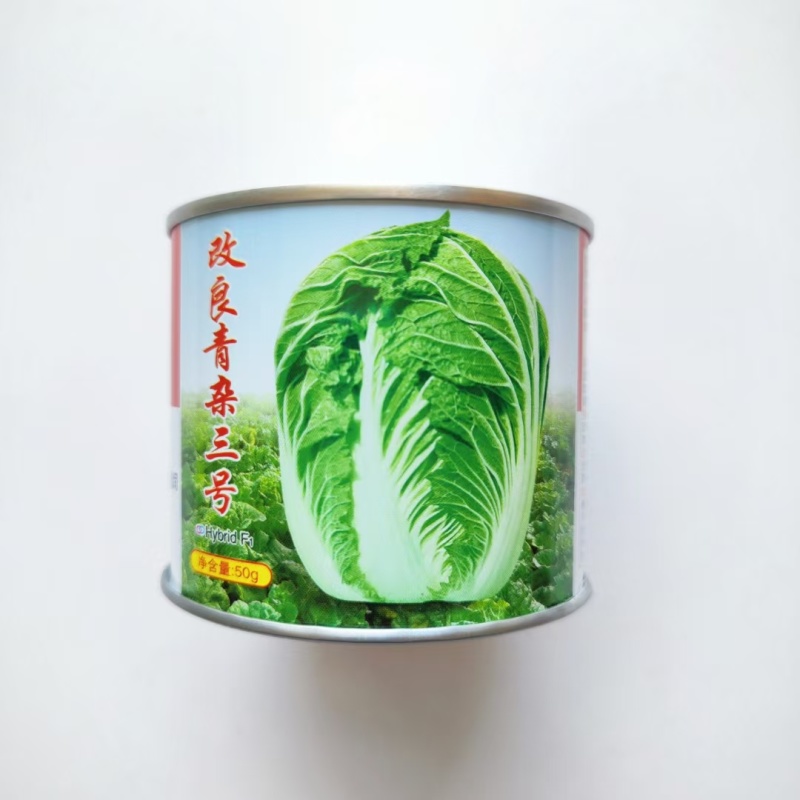 义和秋大白菜种子正宗山东胶州大白菜种籽孑高产蔬菜秋播冬储