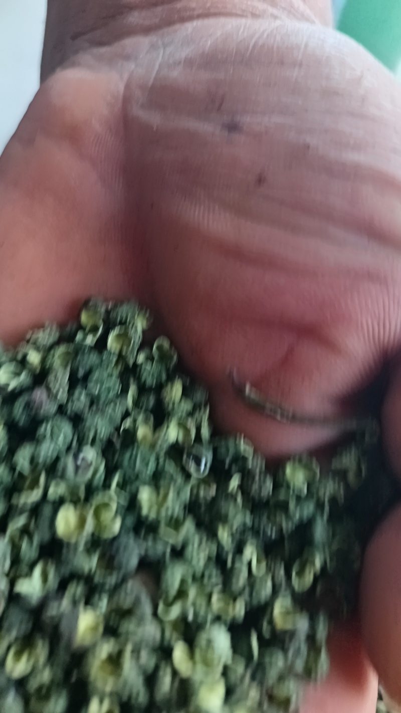 青花椒