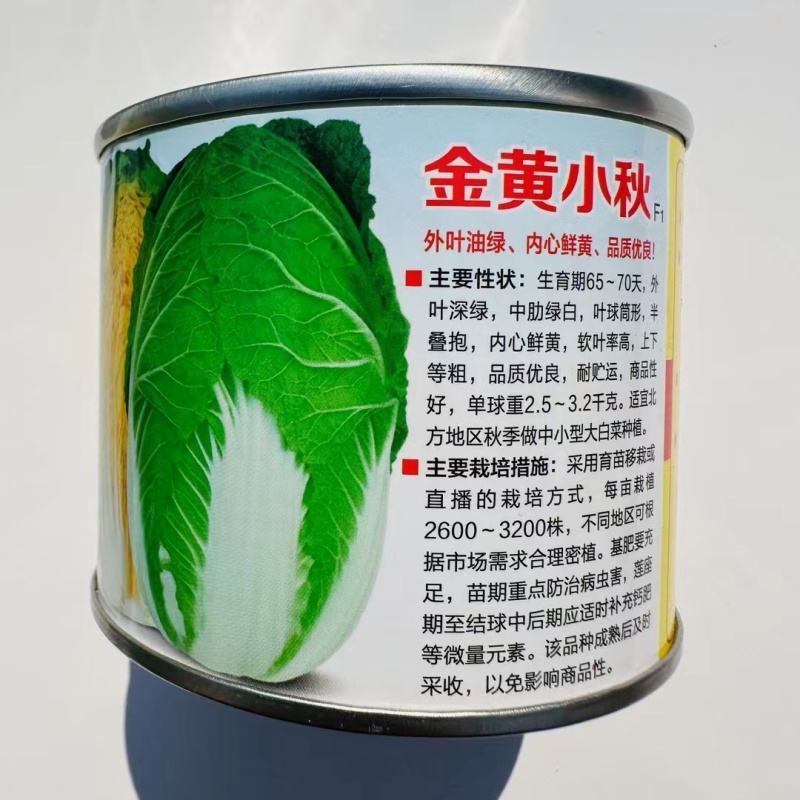 金黄小秋白菜种子内心鲜黄黄心大白菜种子蔬菜基地专用黄心菜