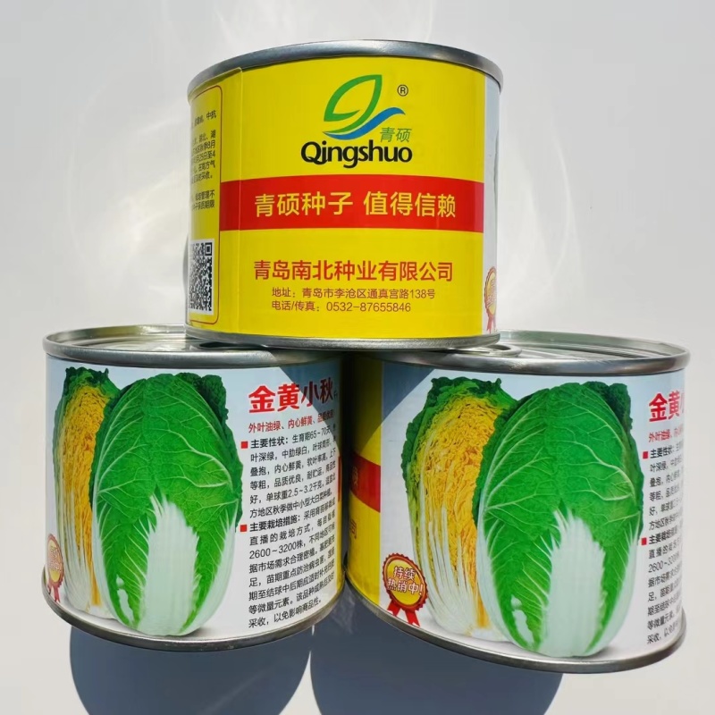 金黄小秋白菜种子内心鲜黄黄心大白菜种子蔬菜基地专用黄心菜
