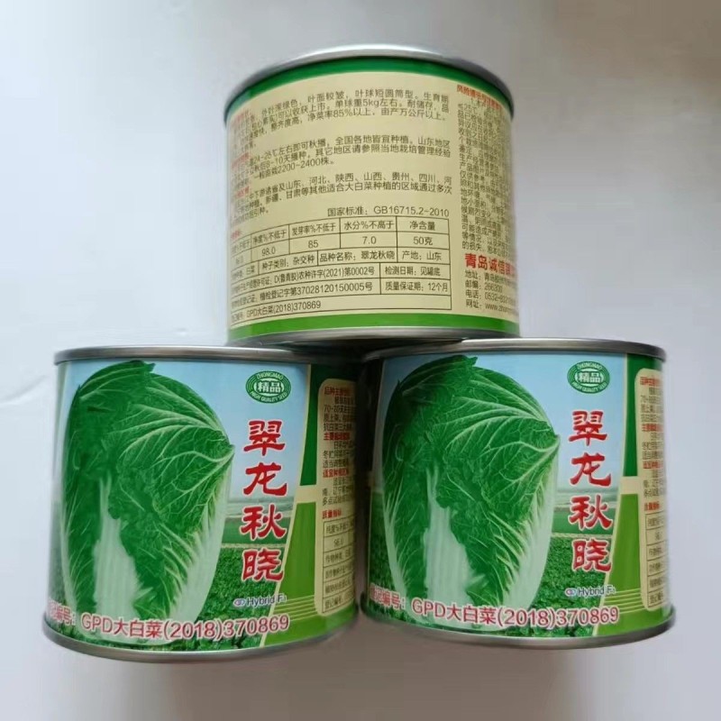 翠龙秋晓大白菜种子抗病高产短圆筒形整齐度好净大白菜种子