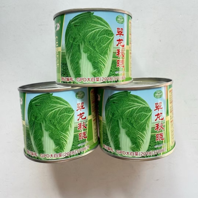 翠龙秋晓大白菜种子抗病高产短圆筒形整齐度好净大白菜种子