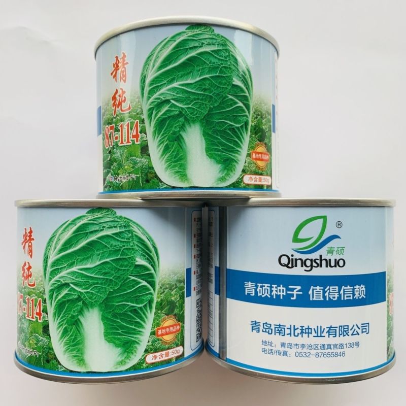精纯87-114大白菜种子早春早秋淡季上市优良品种高产抗