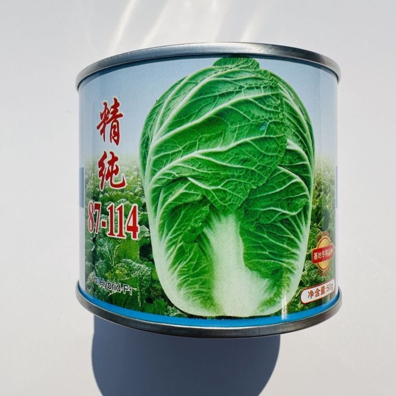 精纯87-114大白菜种子早春早秋淡季上市优良品种高产抗