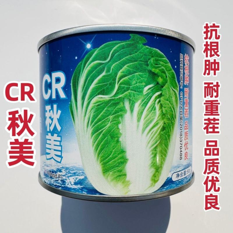 CR秋美大白菜种子优质高产抗病耐贮商品性佳农家秋