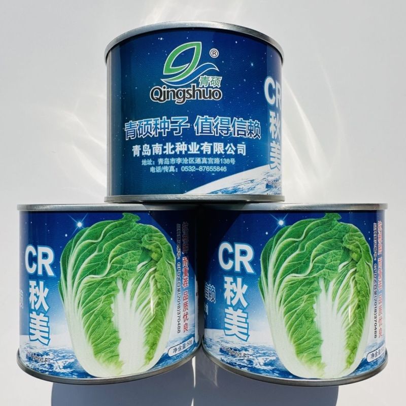 CR秋美大白菜种子优质高产抗病耐贮商品性佳农家秋