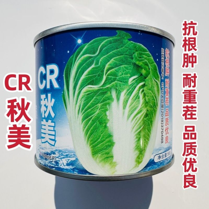 CR秋美大白菜种子优质高产抗病耐贮商品性佳农家秋