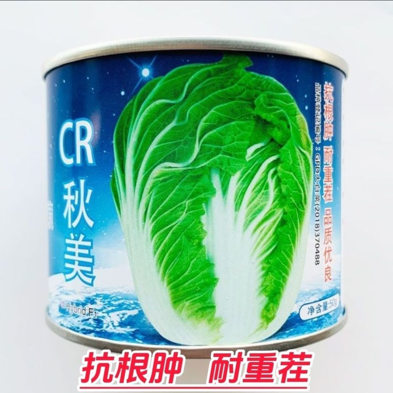 CR秋美大白菜种子优质高产抗病耐贮商品性佳农家秋