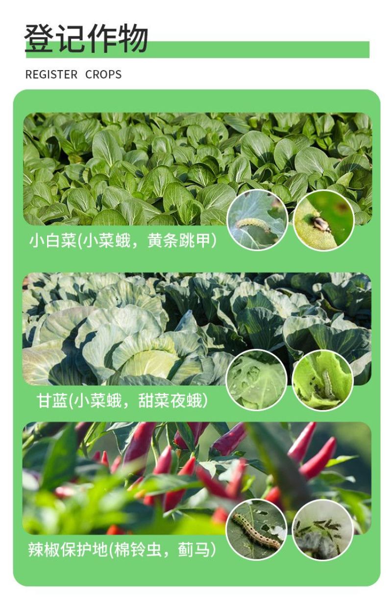 爱利可多溴虫氟苯双酰胺小菜蛾蓟马黄条跳甲杀虫剂
