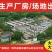 广东潮州市饶平县81亩大型厂房低价出租