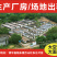 广东潮州市饶平县81亩大型厂房低价出租