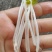 七彩水培萝卜芽苗