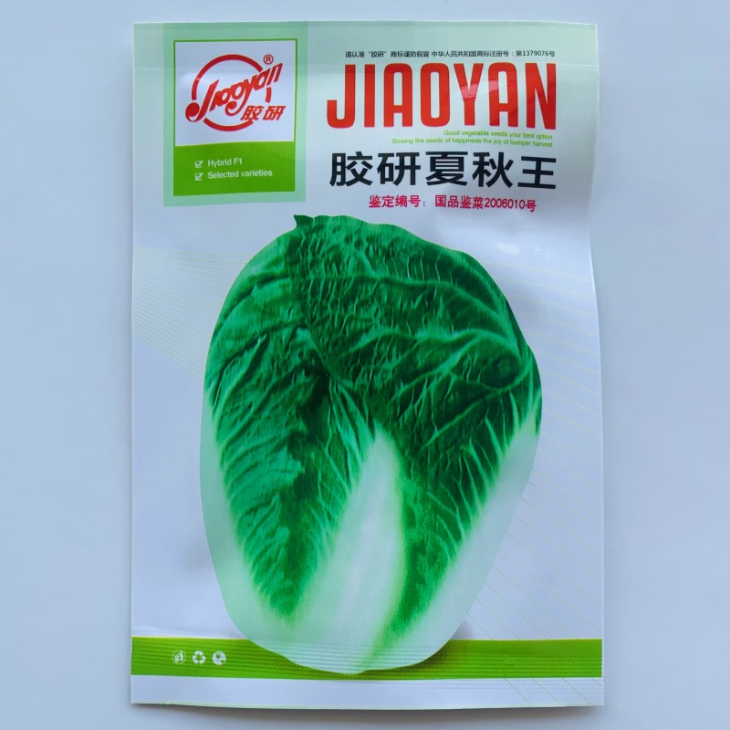 胶研夏秋王大白菜种子极早熟叠抱耐热耐湿抗病净菜率高大白菜