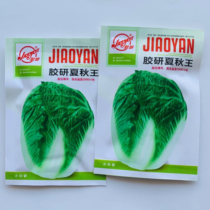胶研夏秋王大白菜种子极早熟叠抱耐热耐湿抗病净菜率高大白菜