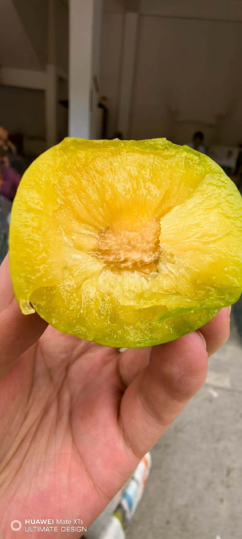 蜂糖李一件代发