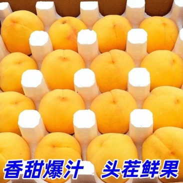 陕西黄桃黄金蜜黄桃套袋黄桃彩虹桃大量上市一件代发，对接电