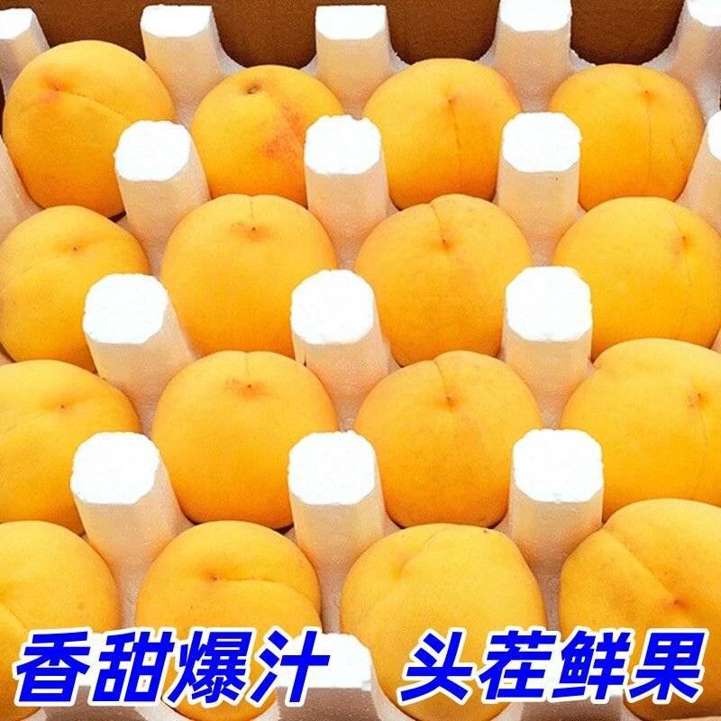 陕西黄桃黄金蜜黄桃套袋黄桃彩虹桃大量上市一件代发，对接电