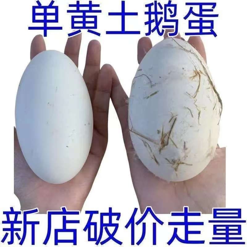 80-105克新鲜大雁鹅蛋农家单黄五谷杂粮散养喂养宝宝孕