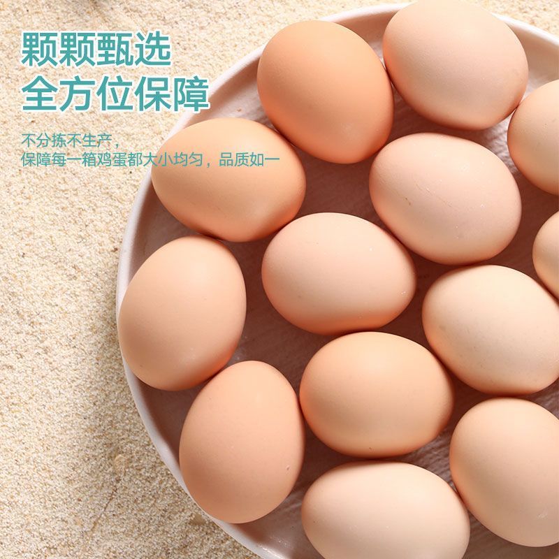 新鲜鸡蛋单枚约60g个头饱满蛋香浓郁营养