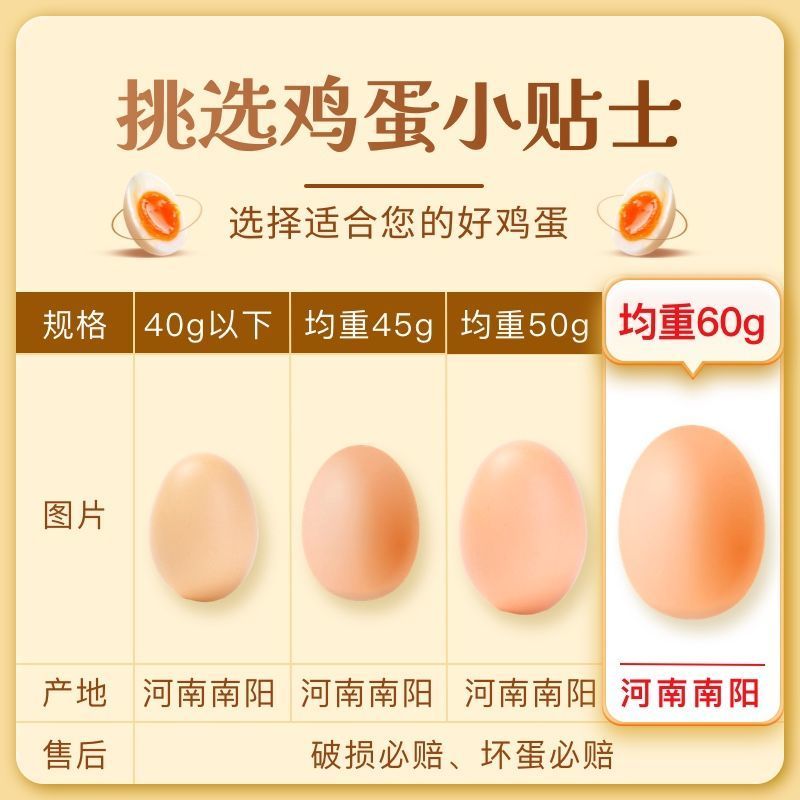 新鲜鸡蛋单枚约60g个头饱满蛋香浓郁营养
