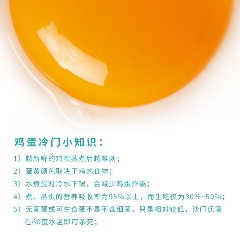 新鲜鸡蛋单枚约60g个头饱满蛋香浓郁营养